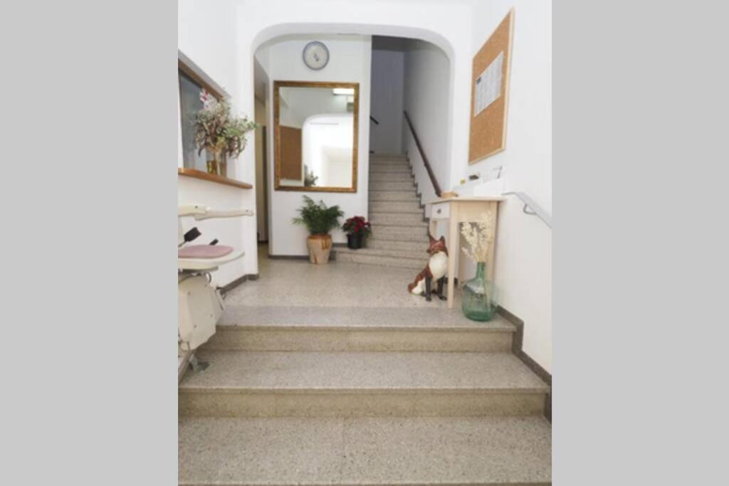 Apartaments Sa Calm Les Roques Del Rei Sant Hilari Sacalm Zewnętrze zdjęcie